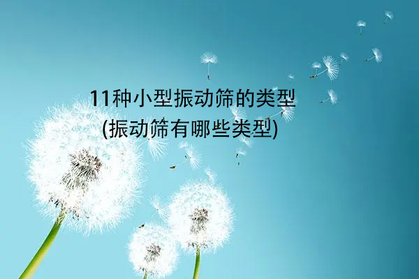 11種小型振動(dòng)篩的類型(振動(dòng)篩有哪些類型)